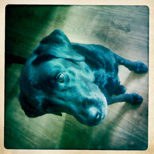 Hip 335220160.635391