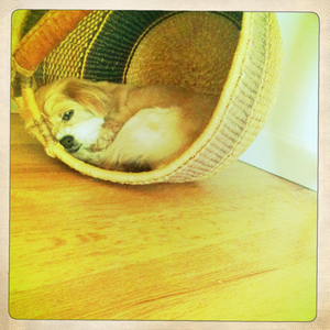 Hip 335220888.342990