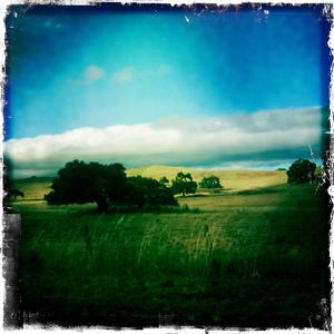 Hip 332731452.633828