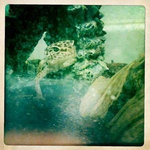 Hip 335221769.786704