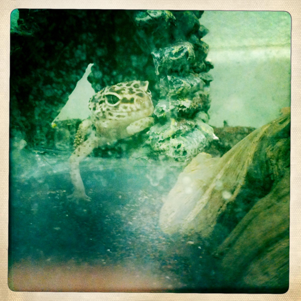 Hip 335221769.786704