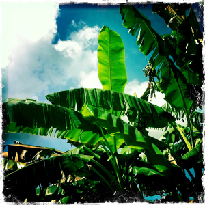 Hip 334954527.479550