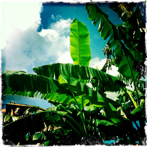 Hip 334954527.479550