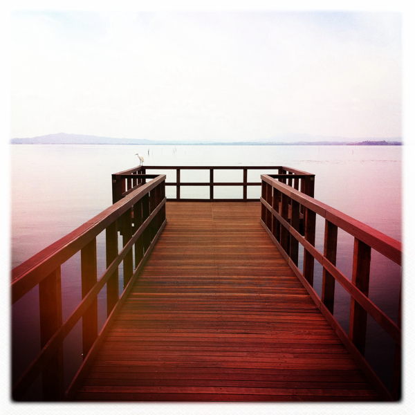 Hip 331467896.649072