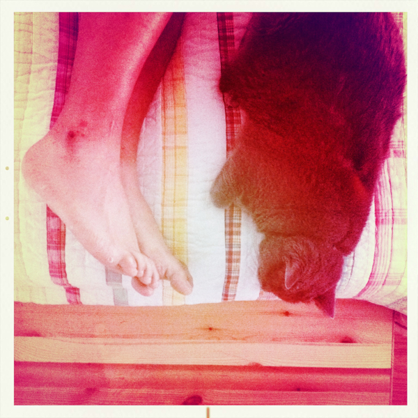 Hip 334448011.532100