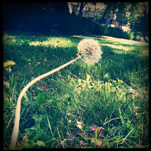 Hip 335211674.618980