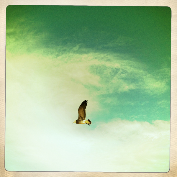 Hip 335222063.297735