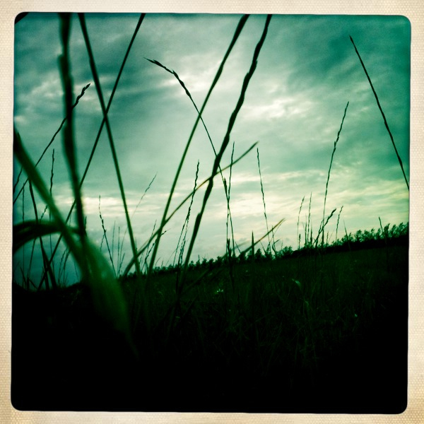 Hip 335201106.240301