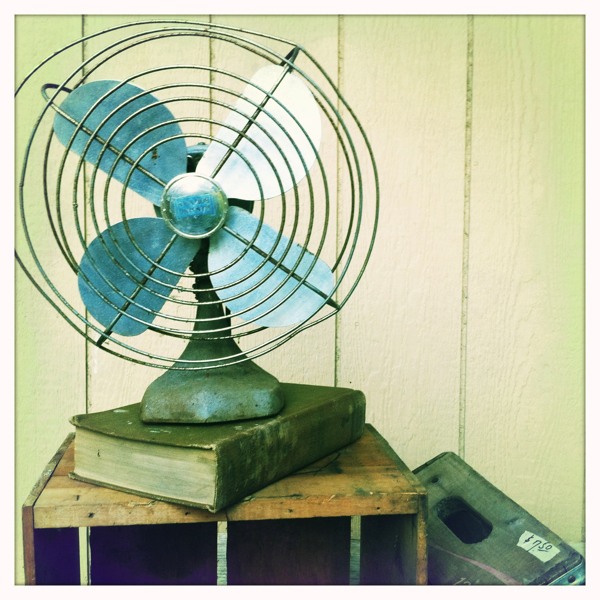 Hip 335146265.876795