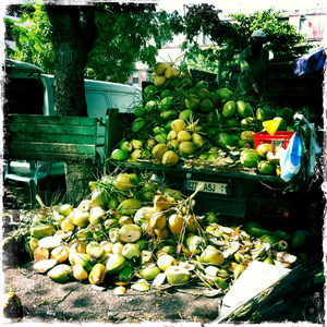 Hip 335020953.581483