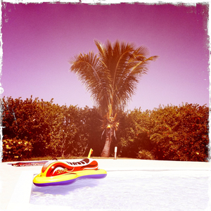 Hip 334953805.433383