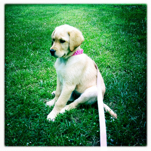 Hip 335226094.113465