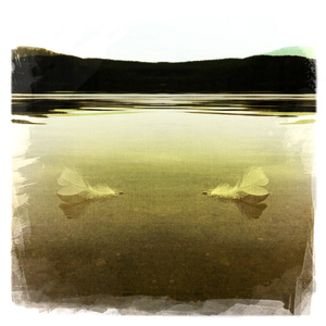 Hip 334171083.534738