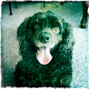 Hip 335227097.222134