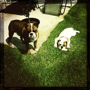 Hip 327855634.253646