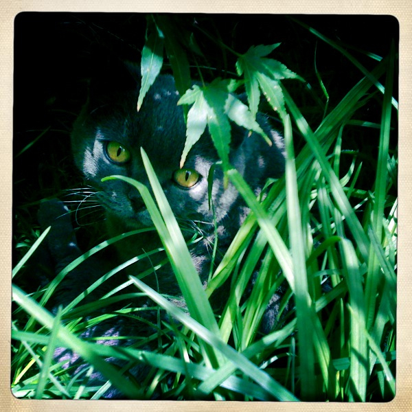 Hip 317531888.060728