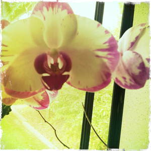 Hip 335229364.831587