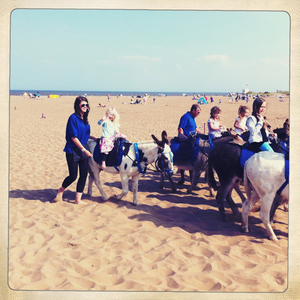 Hip 333819248.833853