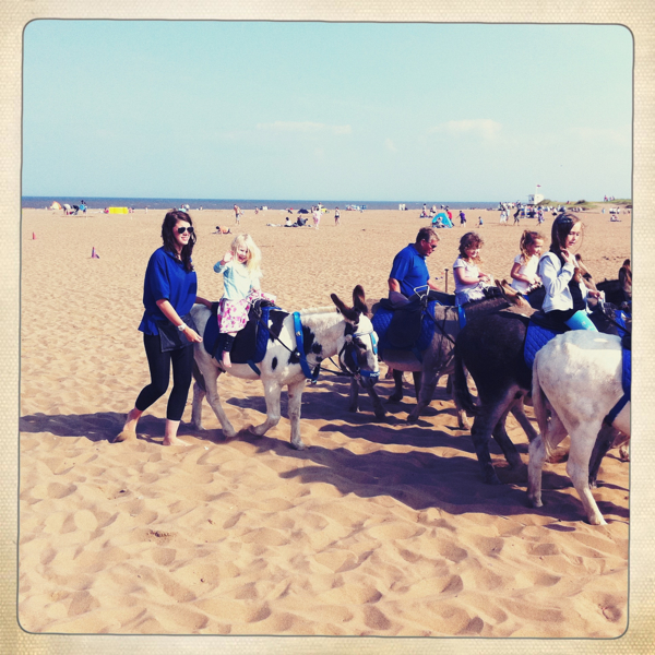 Hip 333819248.833853