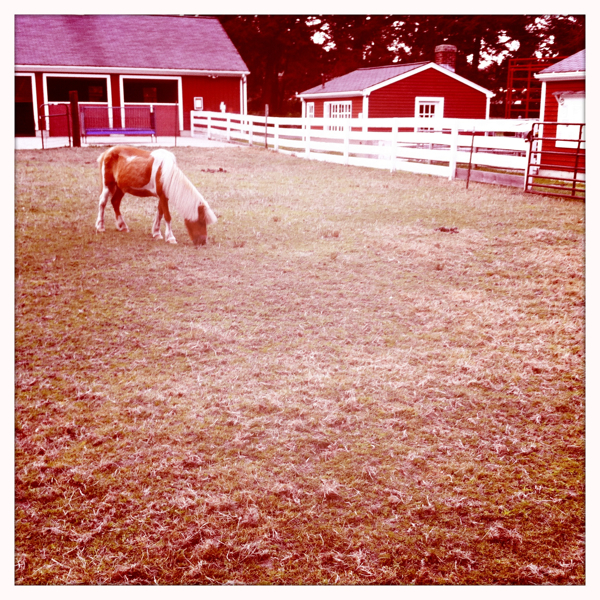 Hip 333935230.462146