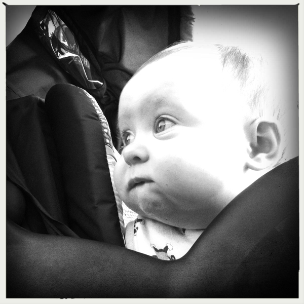 Hip 335231007.063565