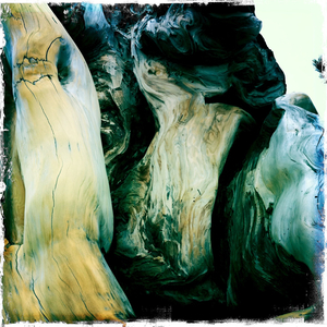 Hip 312578412.509131