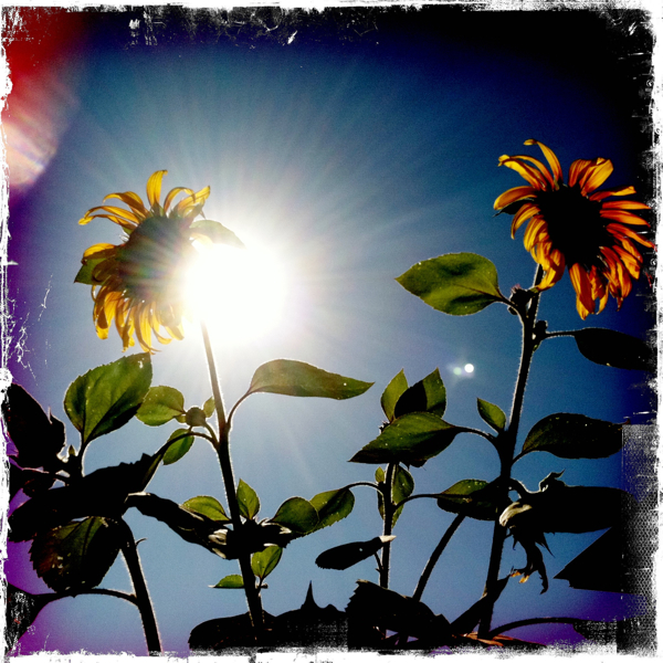 Hip 335232128.192185