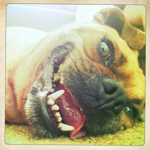 Hip 334285510.974218