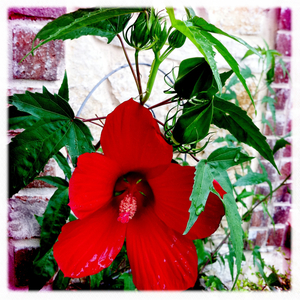 Hip 334939153.130670