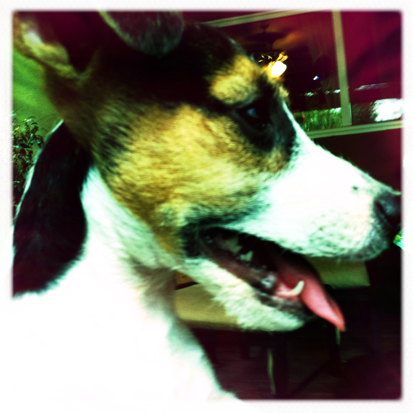 Hip 335231691.206849