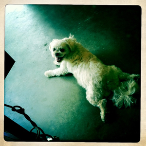 Hip 332018857.866710