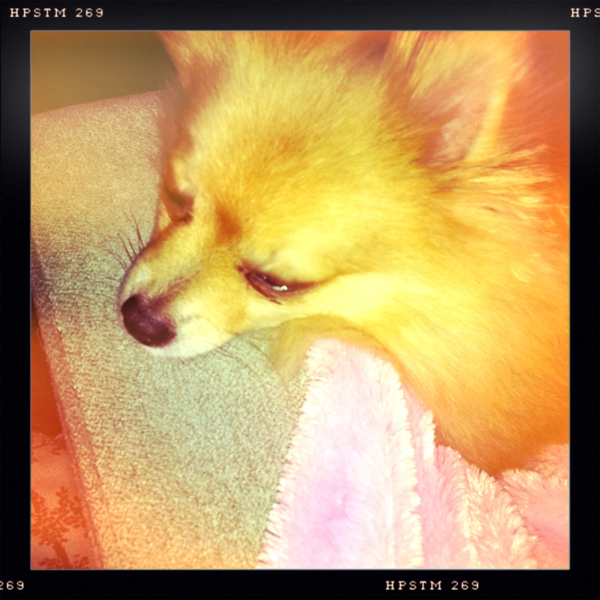 Hip 335235964.568414