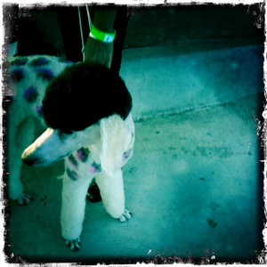 Hip 323476870.246379