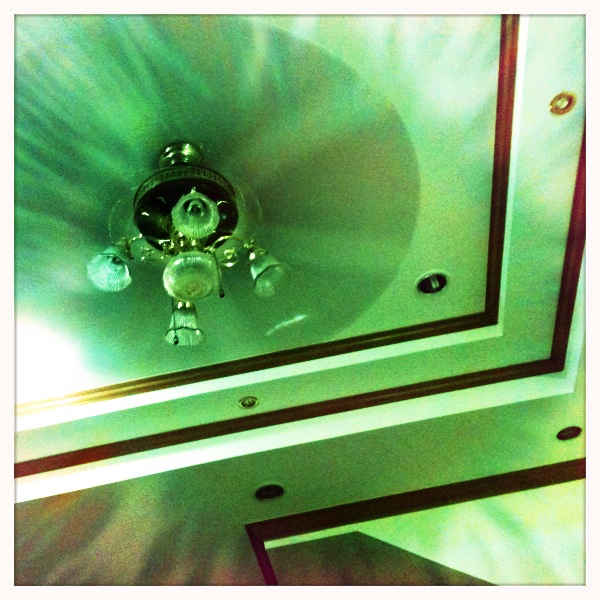 Hip 331732550.988673