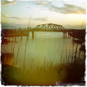 Hip 332468411.709318