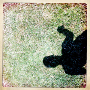 Hip 333140847.304217