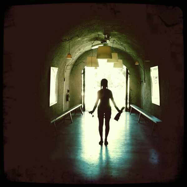 Hip 334015353.788513