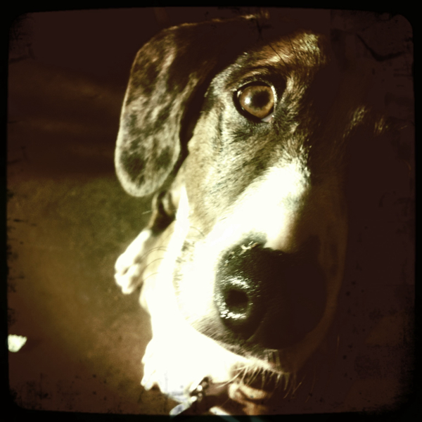 Hip 330654902.314854