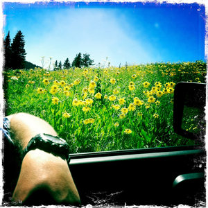 Hip 334615944.741480