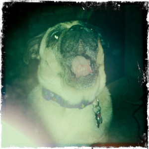 Hip 335238963.765285