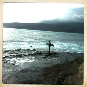 Hip 331959552.231509