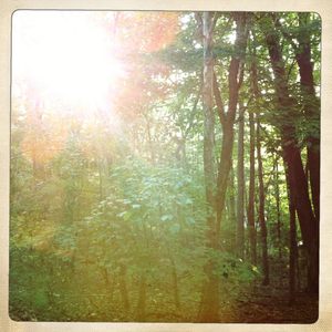 Hip 334105585.138081