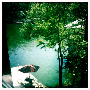 Hip 334355443.930660