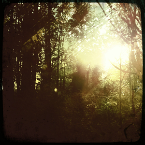 Hip 327637156.401762