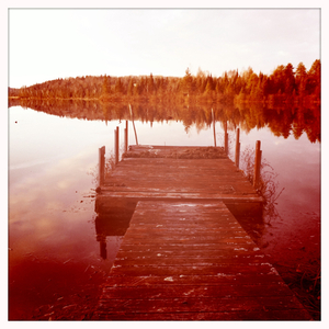 Hip 311345515.531044