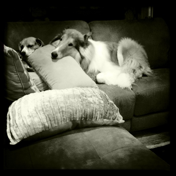 Hip 335244586.669659