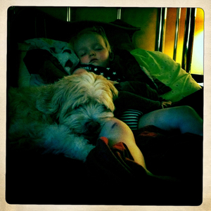 Hip 331416135.930203