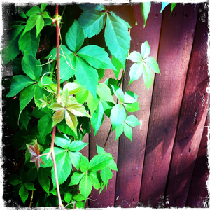 Hip 331306426.044290