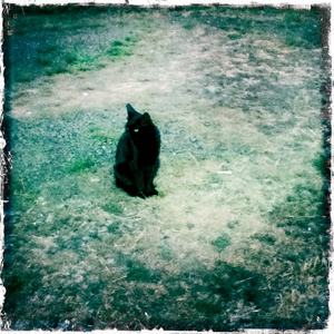 Hip 335244498.401359