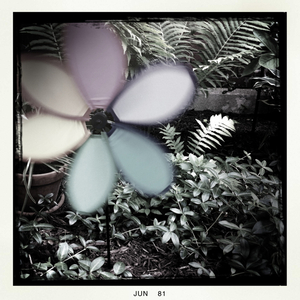 Hip 329680684.291233